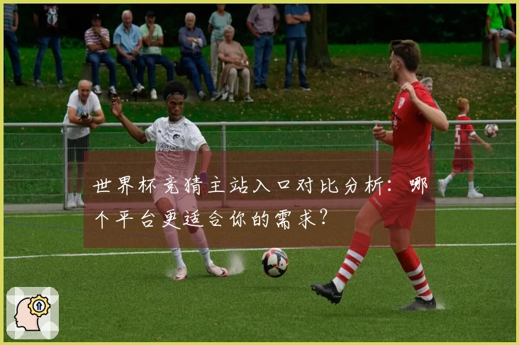 世界杯竞猜主站入口对比分析：哪个平台更适合你的需求？