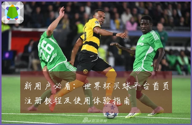 新用户必看：世界杯买球平台首页注册教程及使用体验指南