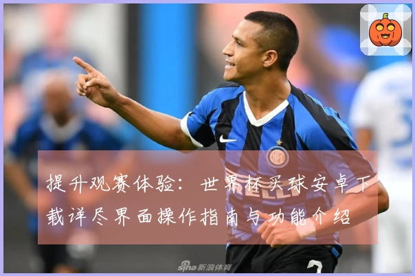 提升观赛体验：世界杯买球安卓下载详尽界面操作指南与功能介绍