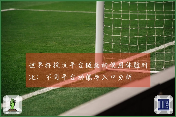 世界杯投注平台链接的使用体验对比：不同平台功能与入口分析