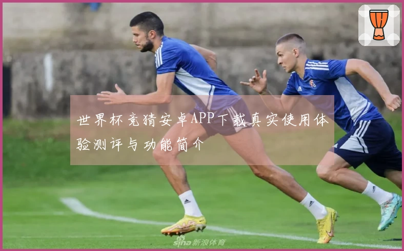 世界杯竞猜安卓APP下载真实使用体验测评与功能简介